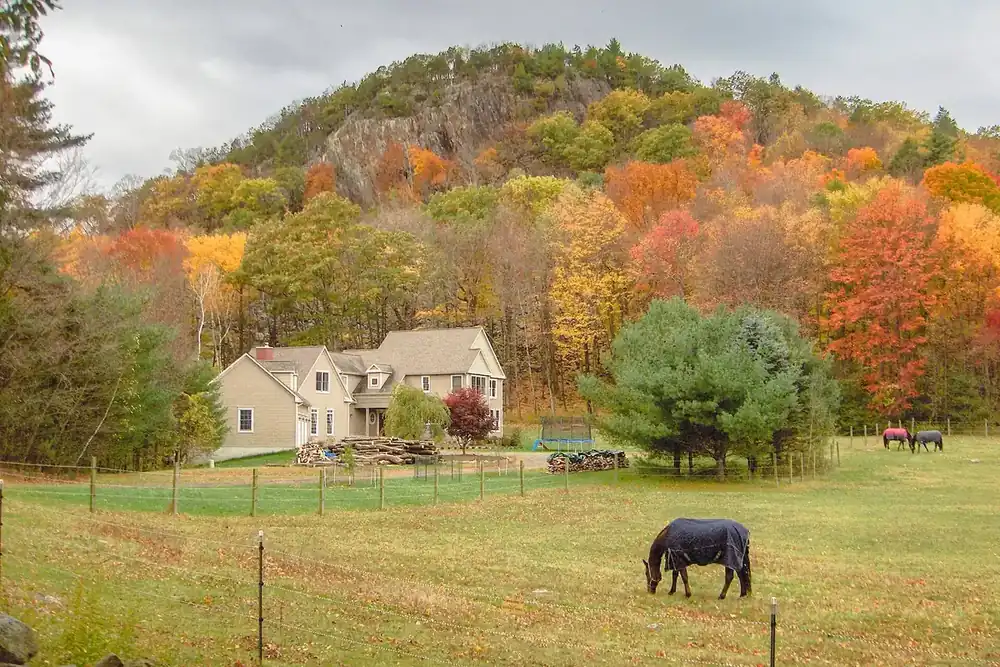 Autumn foliage on the Barndoor Hills above a farmhouse and pasture in Granby, Connecticut